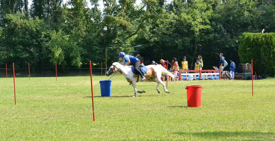 Centro Ippico Val dell’Isauro di Pesaro<br>ASSOCIAZIONE SPORTIVA DILETTANTISTICA